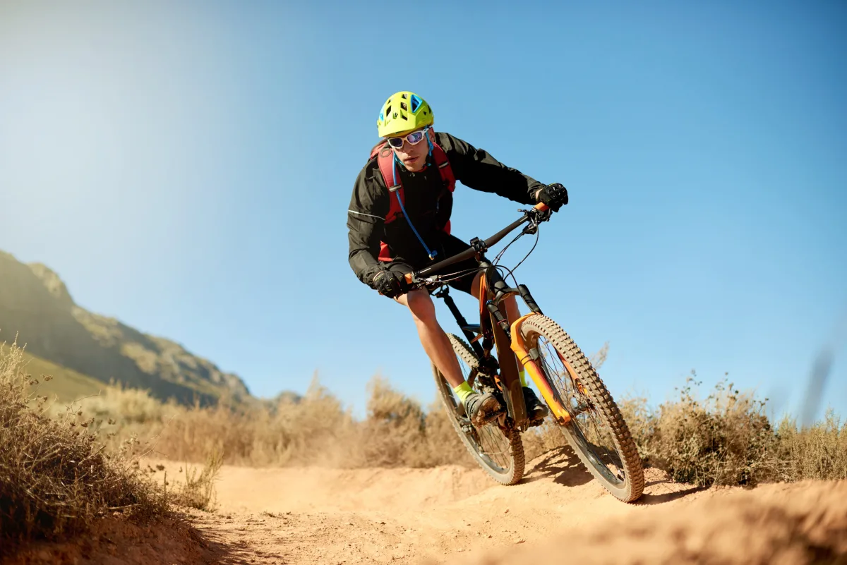 Mountain bike rental fleet